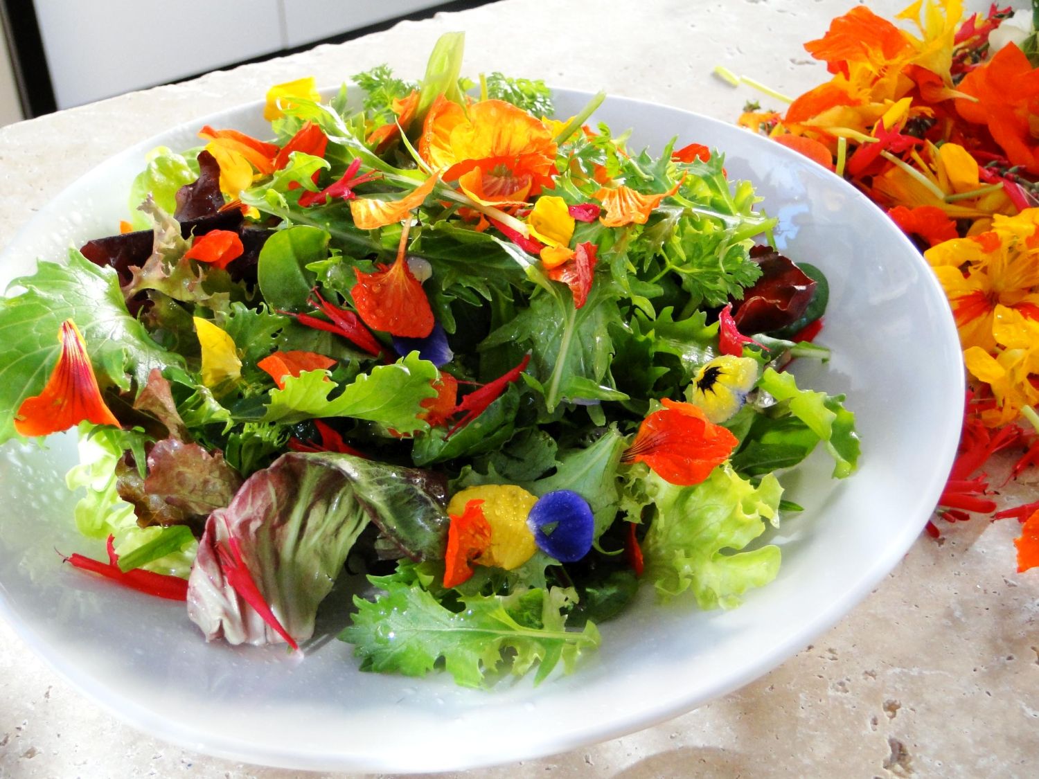 Mini Chef Edible Farm Flower Salad