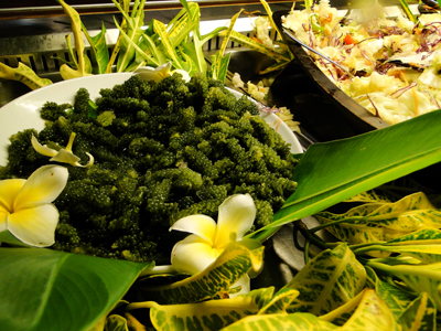 Sea Grapes served as part of the buffet at Aggie's Gueshouse
