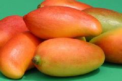 Torpedo-shaped mangoes