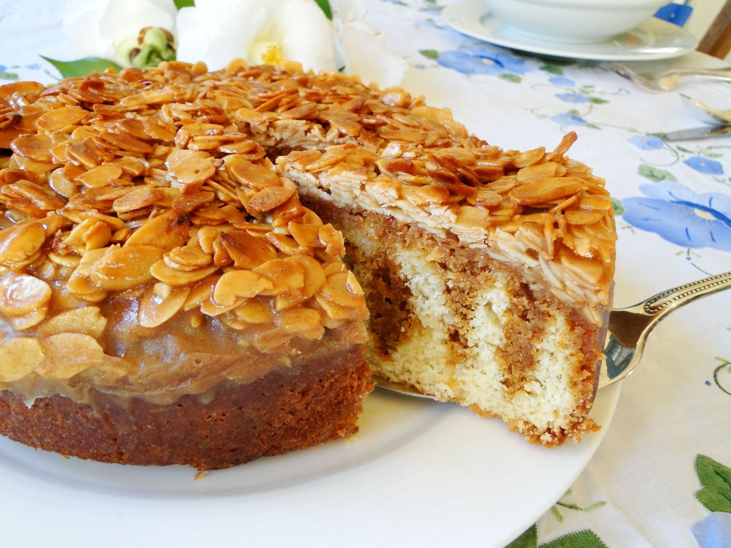 Coconut Citrus Cake with Honey Almond Topping