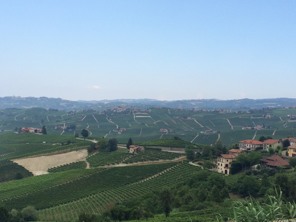 The much-treasured vineyards around Barolo, where 1ha costs £500,000 