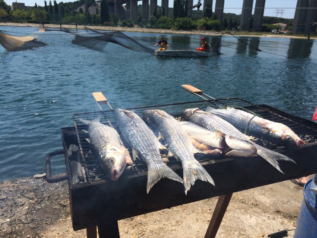 Barbecued Mullet, on the Caronte canal at Martigues