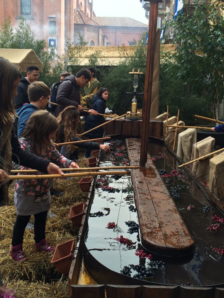 Fishing for grapes: one of the games played at the Medieval Fair (Il Baccanale del Tartufo) Alba