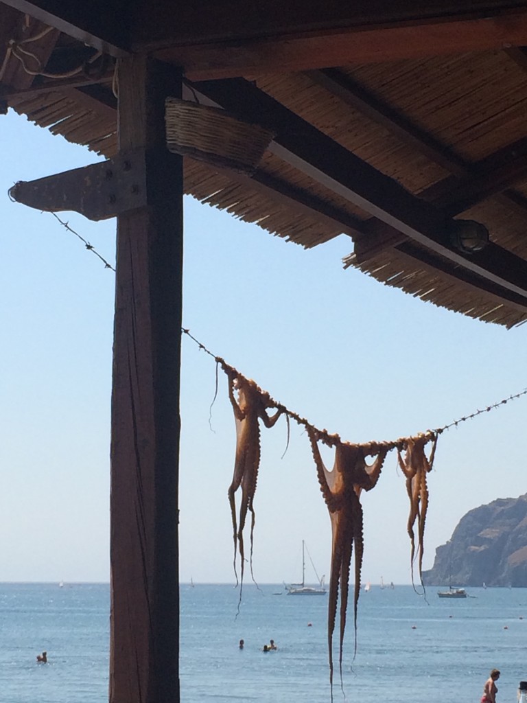 Octopus being hung out to dry at Eressos beach, Lesvos